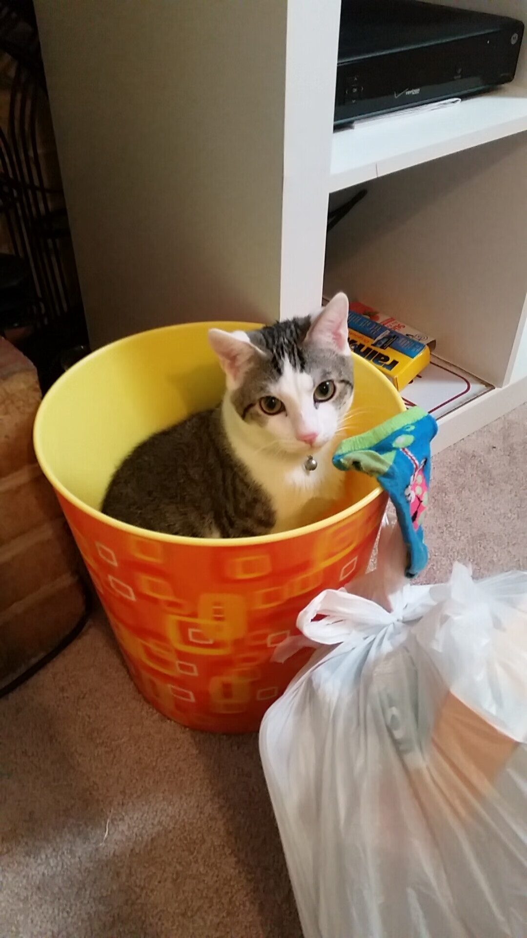 铁闸与利刃，皮克如何在对阵日本时重新定义中卫的高能输出