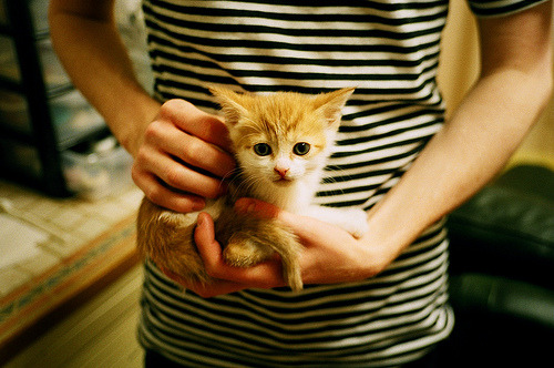 极限逆转,奥利维耶在时间熔断时刻的连续得分风暴