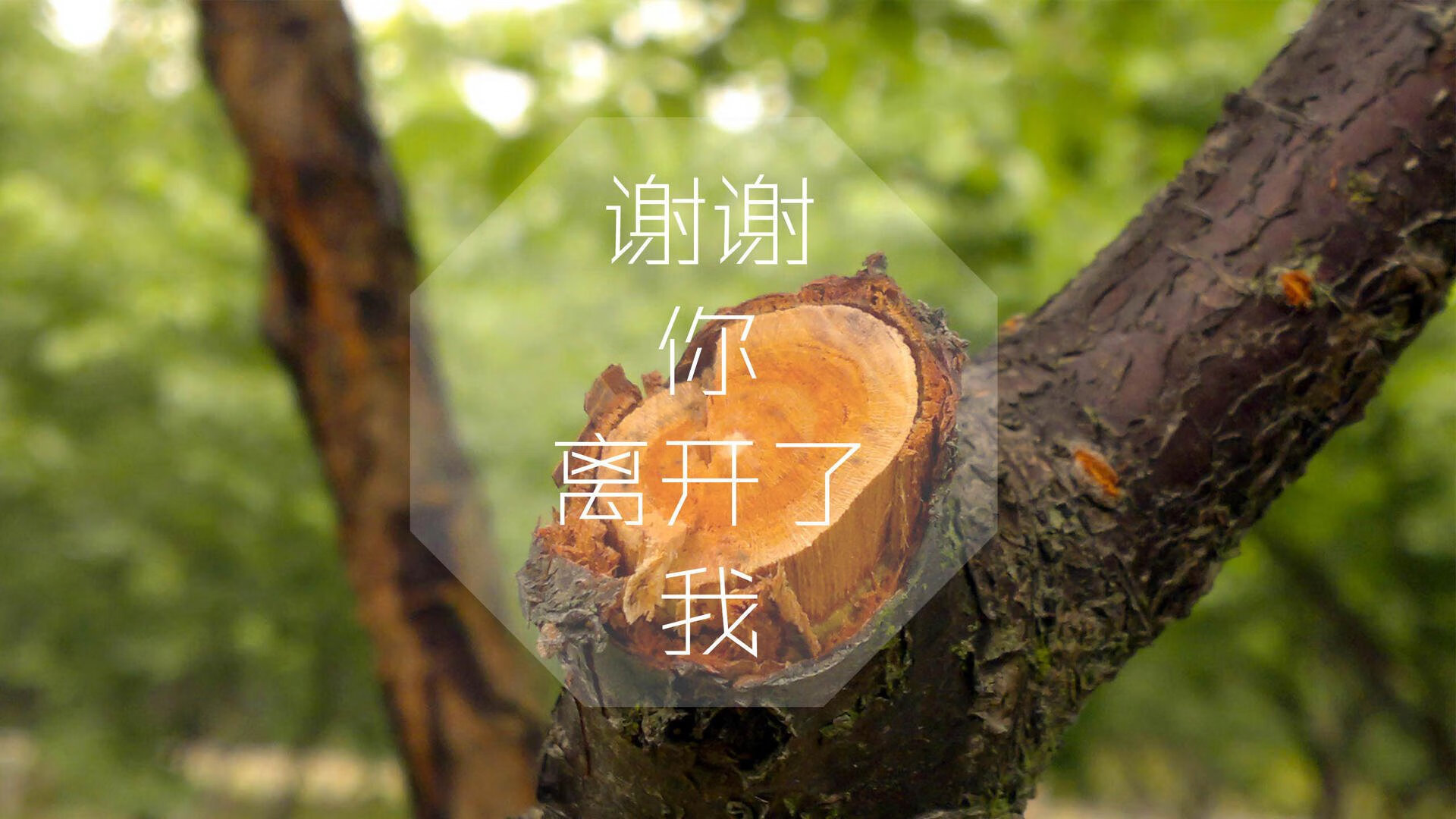 冰与火的独幕剧诗,当德意志战车碾过黄昏,姆巴佩用一束光刺穿永恒